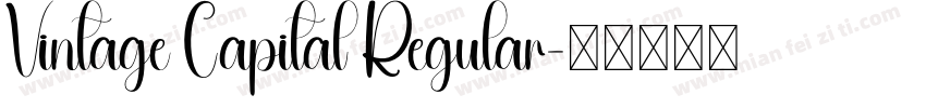 Vintage Capital Regular字体转换